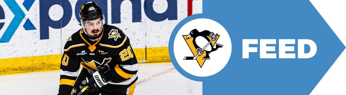 Pietila brings simplicity, toughness taken in Downtown (Penguins)